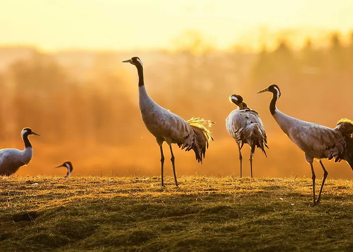 別荘 Daniela Mit Terrasse Und Garten